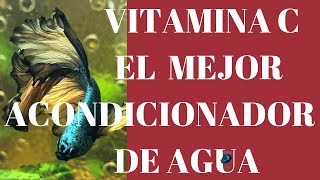 VITAMINA C  BENEFICIOS PARA EL ACUARIO Y LOS PECES [upl. by Pero]