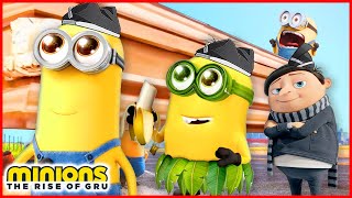 MINIONS The Rise Of Gru  Coffin Dance Song COVER2 [upl. by Ahsikahs]