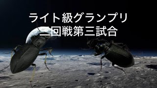 オサムシモドキ24mmvsオオマルガタゴミムシ20mm蟲斗ライト級グランプリ3三回戦第三試合 [upl. by Layap968]