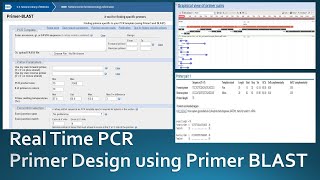 Primer designing for real time PCR using NCBI Primer Blast [upl. by Yemane]