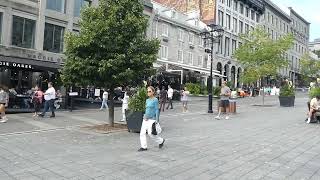 Place Jacques Cartier Montréal Canada [upl. by Duma]