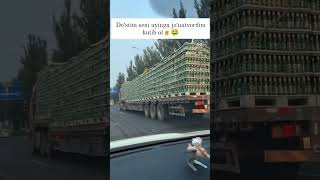 Dostim sen uchun 1 kamaz aroq🤣 50k obunabolishniunutmang kulgu [upl. by Lissa]