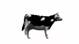 Dancing Polish Cow  Dancing for 1 Hour Version [upl. by Modern]