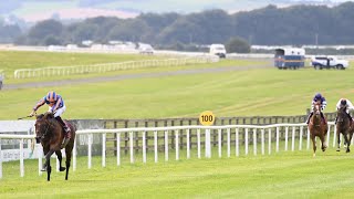 GROSVENOR SQUARE wins by 20 lengths in Curragh romp [upl. by Herrod]