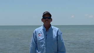 Texas Fishing Tips Fishing Report 102324 Port Aransas Area With Capt Monte Graham [upl. by Hubble734]