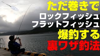 アピアの新商品リグを使ってマゴチ・キジハタなど底モノの魚を釣る！ [upl. by Keon]