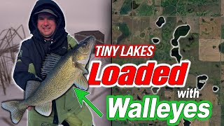 Small Secret Lakes Loaded with Walleye  Guide for Ice Fishing North Dakota Pothole Lakes [upl. by Gavrielle]