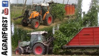 HOPFENERNTE 2019  FENDT Vario Traktoren  Wolf WHE Erntemaschine [upl. by Ailahk74]