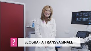 Ecografia transvaginale a cosa serve e quando eseguirla [upl. by Stoneman]