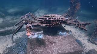 Busselton Jetty Sculpture Dive [upl. by Whiteley]