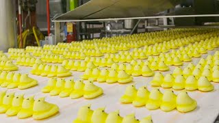 How Marshmallows Are Made  How Its Made Marshmallow Peeps  Food Factory [upl. by Notaes]