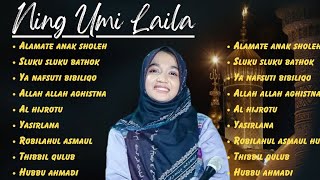 BEST ALBUM NING UMI LAILA SHOLAWAT RELIGI VIRAL 2023 [upl. by Alcinia]