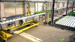 Viscon Hydroponics  Fully Automated Hydroponics System [upl. by Lozar123]