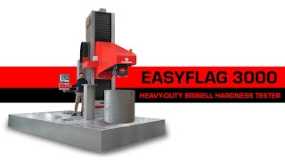 Hardness Tester  EASYFLAG 3000  Selflearning [upl. by Phillipp]