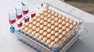 Hot sale incubator for canary eggincubator 130 in uae [upl. by Hersh]