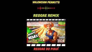 Versão Promoção Valencian Peanuts  Reggae Remix ReggaedoPiauíOficial [upl. by Ellesirg]