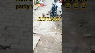 New style exercise pilu party with😂😁🐕 couple dog doglover shortvideo puppyvideos puppylife [upl. by Tamas16]