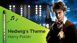 Hedwigs Theme Harry Potter on Tin Whistle D  tabs tutorial [upl. by Lovich]