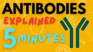 Biology Help Antibodies Structure and Function explained in 5 minutes [upl. by Frederigo]