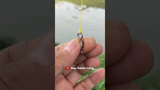 BEST FISHING KNOT FOR SWIVELS THE SECRET OF FISHERMAN fishing fishingknot tutorial [upl. by Hillhouse]