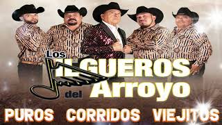 Los Jilgueros Del Arroyo 30 Exitos Originales  Puros Corridos Viejitos Mix [upl. by Steep]