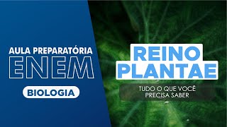 Biologia Desvendando o Reino Plantae [upl. by Sonnnie]