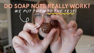 Do Soap Nuts Really Work We Put Them to the Test [upl. by Eikcim]