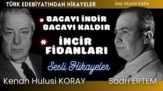 İki Ustadan İki hikaye  Türk Edebiyatından Sesli Kitaplar [upl. by Aielam]