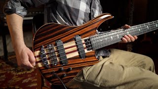 Alembic Essence Five String Bass [upl. by Ninetta]