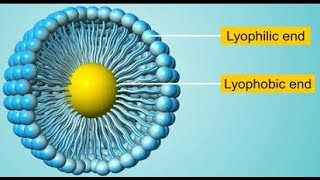 الغروي المحب والكاره للمذيب  lyophilic and lyophobic colloids [upl. by Assirehs]