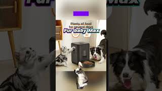 Automatic Pet Feeder with Smart Control [upl. by Corydon]