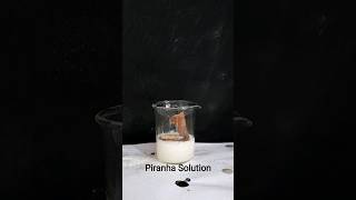 Piranha solution chemistry chemical piranhasolution shorts h2o2 sulphuricacid h2so4 reaction [upl. by Xenia111]