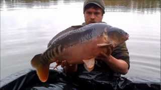 Frontfish stocking Sundridge Lake Kent [upl. by Kelcie56]