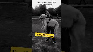 IM Millionaire doglover dogs goldenretiever keebo newsong music viralshorts [upl. by Bigot219]