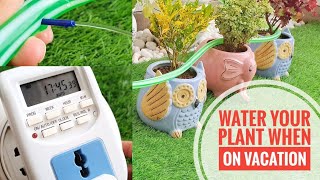 How to Water Plants While on Vacation  पौधो को ऑटोमेटिकली पानी दे  Best Self Watering System [upl. by Nared]