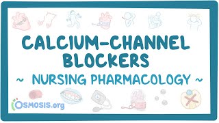 Calciumchannel blockers Nursing Pharmacology [upl. by Riana]