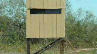 Grande Hunts 8 South Texas Deer Lease Work Feeding amp Scouting October 2010 [upl. by Docile329]