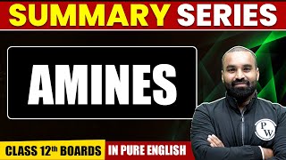 AMINES Organic Chemistry Class 12th  Complete Summary In Pure English [upl. by Ehman]