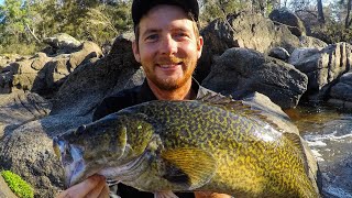 Warrabah Murray Cod [upl. by Gninnahc227]