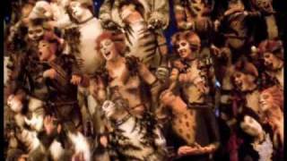 Cats the Musical Jellicle Songs [upl. by Nerej74]