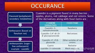 LESSON Cyanidin  Part 1 [upl. by Assyn]