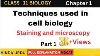 Techniques used in cell biology class 11 Techniques used in cell biology by bilal hussain staining [upl. by Nnylasor]