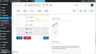 WP Configurator Layer properties [upl. by Notnirt]