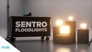 Introducing SENTRO FLOODLIGHTS ☀ Ovia Lighting [upl. by Cello]