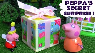 Peppa plays with her Secret Surprise [upl. by Norvil200]