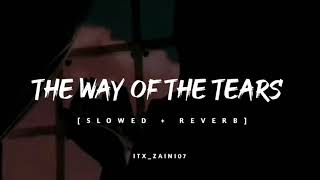 The Way Of Tears Full Nasheed 😍Slowed and Reverb 💥 [upl. by Ciel56]