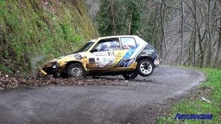 Rallye Villa de Tineo 2014  Asturacing [upl. by Plath]