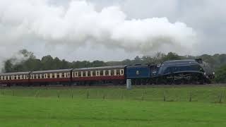 Bluebell Railway Gaints of steam Gala 60007 Sir Nigel Gresely [upl. by Shiverick]