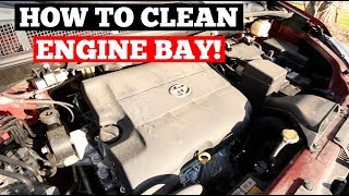 How To CLEAN amp DETAIL Engine Bay  Auto Detailing Training Series Engine Cleaning [upl. by Merill]