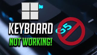 Keyboard Not Working in Windows 11  How to Fix Keyboard Not Detecting Problem [upl. by Kenlee119]